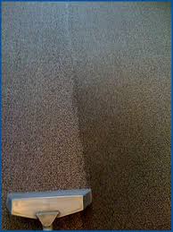 everclean carpet upholstery cleaning