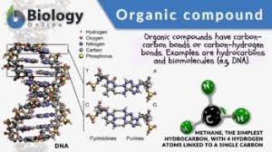 organic compound definition and