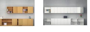 Wall Mounted Cabinets And Shelves