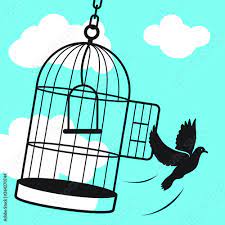 free bird from cage stock vector