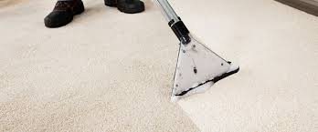 our client reviews for carpet cleaning