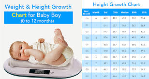 Weight And Height Growth Chart For Baby Boy 0 To 12 Months