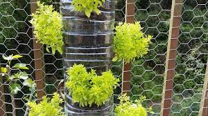 How To Start Your Own Vertical Garden