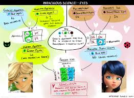 Image Result For Miraculous Ladybug Shipping Chart