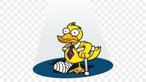 National Lame Duck Day in 2023/2024 - When, Where, Why, How is Celebrated?