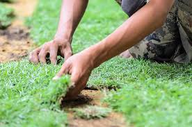 Laying down grass sod to start or repair a lawn isn't the hardest yard task, but it is here's how to lay sod, in six steps. How To Remove Old Grass And Lay New Sod 8 Diy Steps Pepper S Home Garden