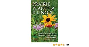 You may not know it, but the plants in your garden might be harmful to the environment. Prairie Plants Of Illinois A Field Guide To The Wildflowers And Prairie Grasses Of Illinois And The Midwest Chadde Steve W 9781951682132 Amazon Com Books