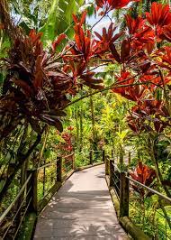 hawaii tropical bioreserve and garden