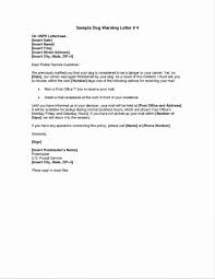 Email Cover Letter Examples Short Application Resume Subject Job V
