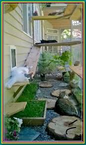 Outdoor Cat Enclosure