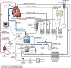 Cardiac Anesthesia Anesthesiology 3e