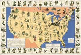 History Of Medicinal Plants Map Of The Plants In The United