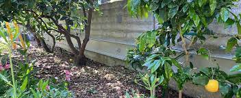 how much does a retaining wall cost