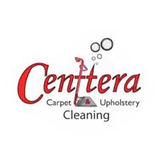 8 best rockford carpet cleaners