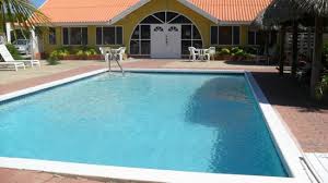 Indo surinam and bingo cafe & restaurant are situated about 525 metres from the property. Pool Picture Of Coconut Inn Aruba Tripadvisor
