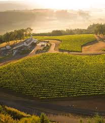 willamette valley wineries and vineyards