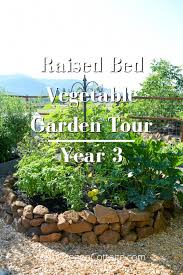 Raised Bed Vegetable Garden Year 3