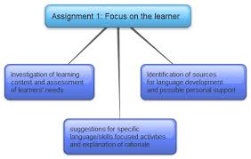 CELTA Assignment   Focus on the Learner      Doc Twirpx