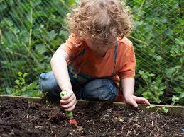 Gardening With Kids 5 Easy Vegetables