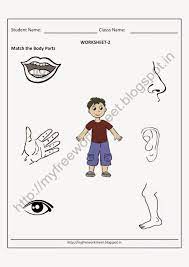 Employ this pdf parts of the human body chart for kindergarten and 1st grade kids, to impart effective learning of body vocabulary. Pdf Free For Nursery Kids Match The Body Parts Worksheet Evs Preschool This That Kindergarten Of Worksheets Sea Life Art Projects Puzzles Students Insect Matching Game Ermitavinyetsitges