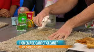 diy carpet cleaner you
