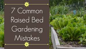 common mistakes in raised bed gardening