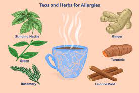 best types of teas for allergies and