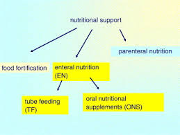 enteral nutrition terminology