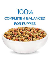 Beneful Healthy Puppy Dry Dog Food With Real Chicken