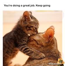 This page is about great job meme for employees,contains 3 ways to be a better leader organizational comm 362 3 ways to be a better leader. Good Job Friend R Wholesomememes Wholesome Memes Know Your Meme