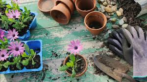 best gardening tools on 2022 from