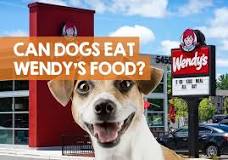 Can my dog eat Wendy