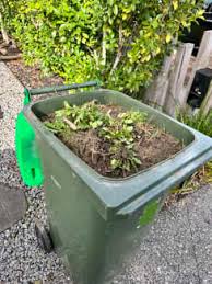 dispose soil in the green bin