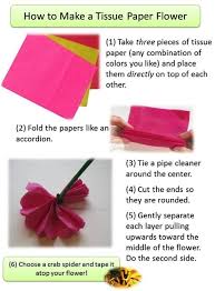 tissue paper flower ts lab