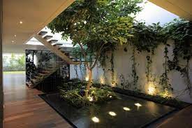 Indoor Garden And Which Plants