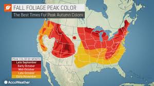 Heres When Fall Leaves Will Peak In Your Region Treehugger