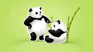 panda fhd wallpaper free for
