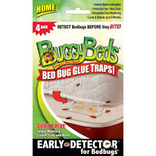 buggybeds home bedbug glue traps