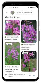 google lens to identify plants