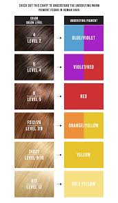 Synthetic Vs Human Hair Colors Jon Renau Blog