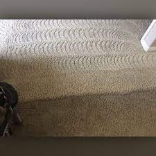 affordable carpet care with 16 reviews