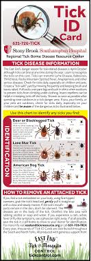 Identifying Ticks On Long Island Ny East End Tick Control