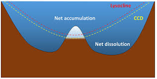 12 6 sediment distribution