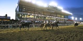 2018 Live Racing Seats Packages And Spaces Canterbury Park