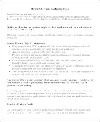 Resume Profile Template Resume Professional Profile Examples Resume