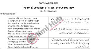 the cherry now poem urdu translation