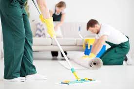 to clean your carpets