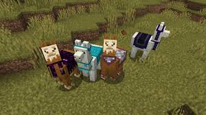 how to tame a llama in minecraft