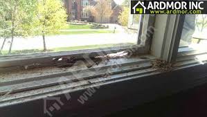 Pella Window Sash Repair Ardmor
