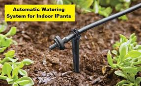 10 Best Automatic Watering System For
